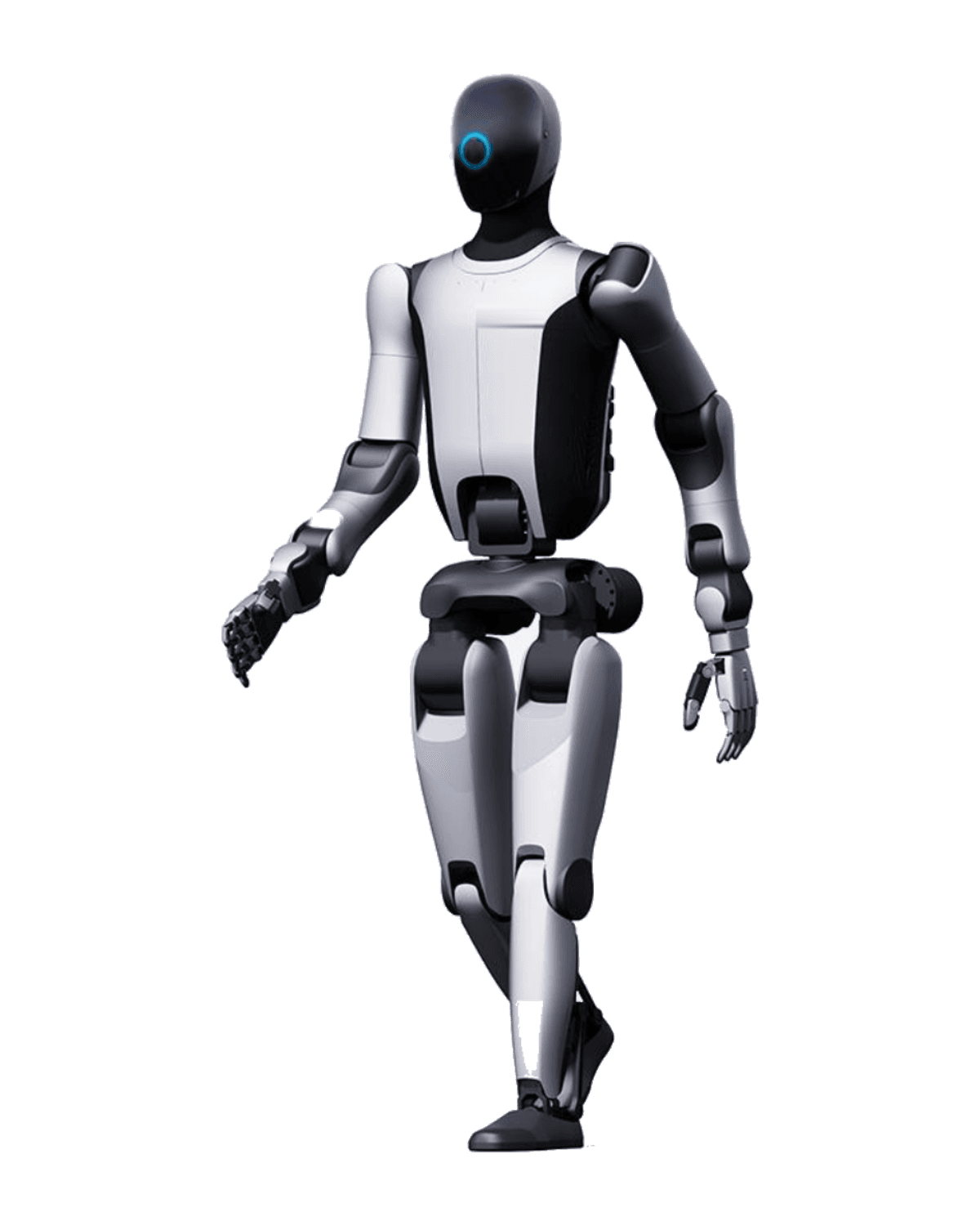 Humanoid robots