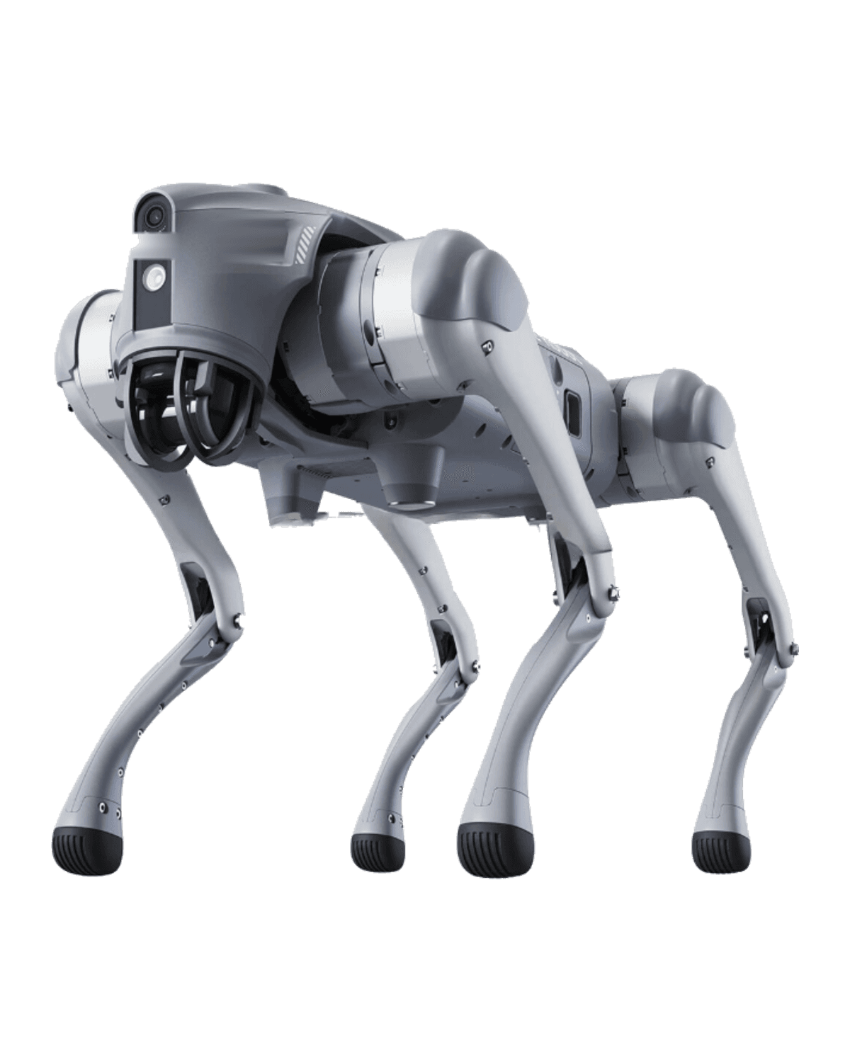 Quadruped robots